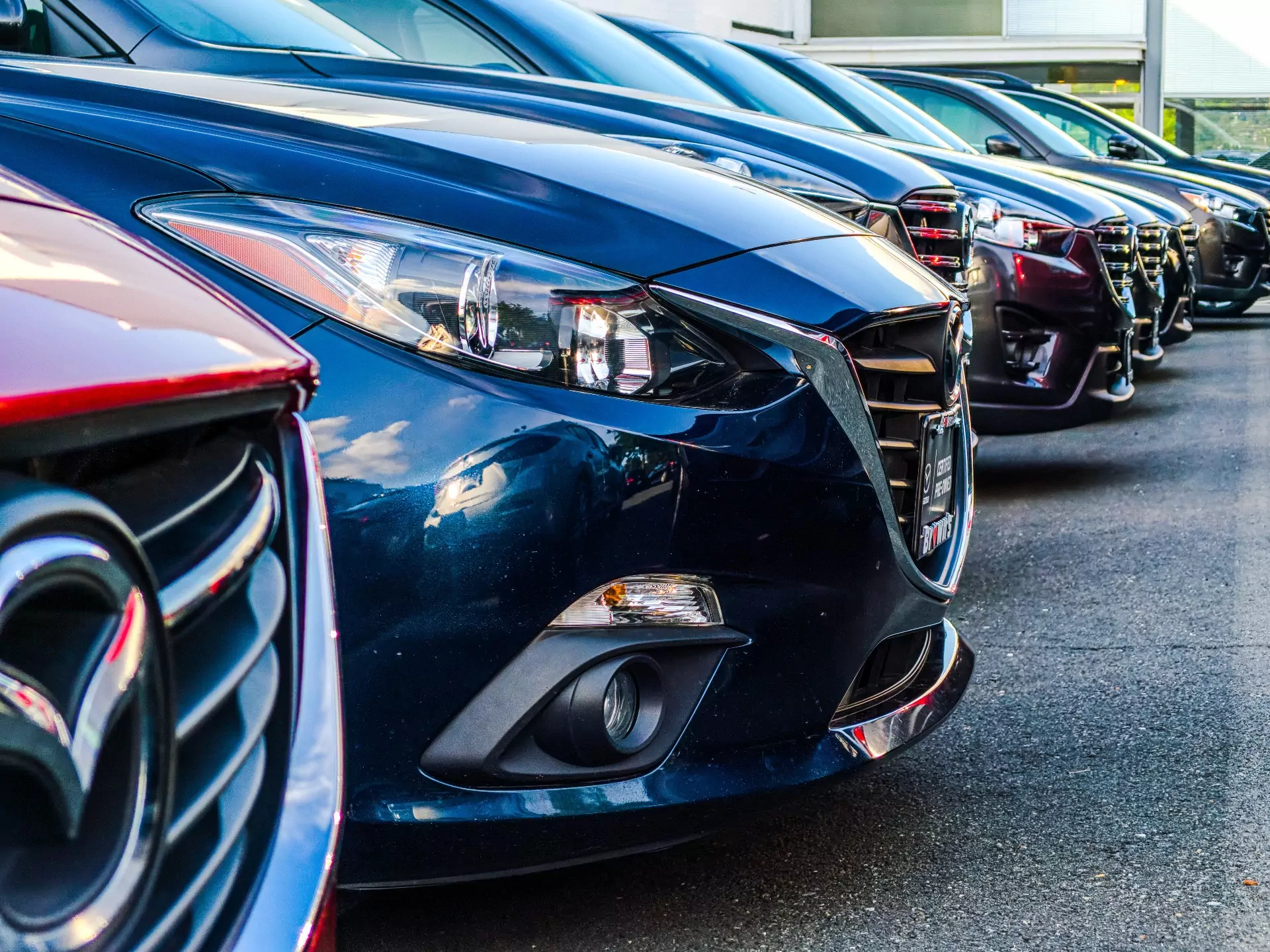 wholesale dealer license